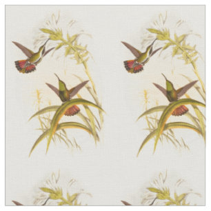 Two Colorful Hummingbirds Aiming for Same Flower Fabric