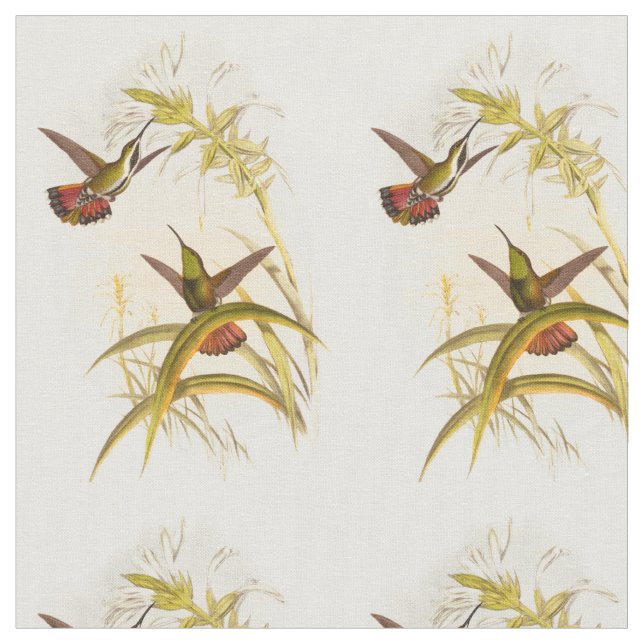 Two Colorful Hummingbirds Aiming for Same Flower Fabric (Close Up)