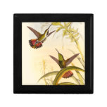 Two Colorful Hummingbirds Aiming for Same Flower Gift Box