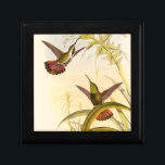 Two Colorful Hummingbirds Aiming for Same Flower Gift Box<br><div class="desc">Artist John Gould was passionate about birds. In this colored drawing,  the two hummingbirds and the flower are represented beautifully. The details in this colorful fine art will delight any art lover.</div>