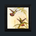 Two Colorful Hummingbirds Aiming for Same Flower Gift Box<br><div class="desc">Artist John Gould was passionate about birds. In this colored drawing,  the two hummingbirds and the flower are represented beautifully. The details in this colorful fine art will delight any art lover.</div>