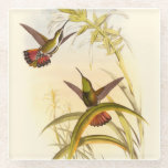Two Colorful Hummingbirds Aiming for Same Flower Glass Coaster