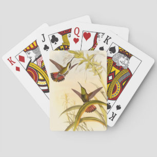Two Colorful Hummingbirds Aiming for Same Flower Poker Cards