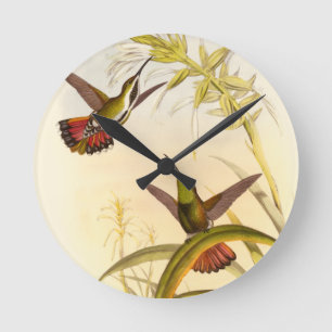 Two Colorful Hummingbirds Aiming for Same Flower Round Clock