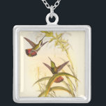 Two Colorful Hummingbirds Aiming for Same Flower Silver Plated Necklace<br><div class="desc">Artist John Gould was passionate about birds. In this colored drawing,  the two hummingbirds and the flower are represented beautifully. The details in this colorful fine art will delight any art lover.</div>