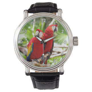 Two Colorful Parrots on a Tree Branch Watch