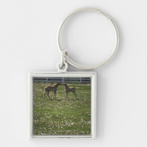 Two colts in field keychain