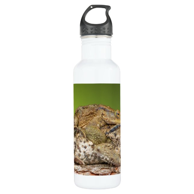 Two Common Toads Bufo Bufo Together Water Bottle (Front)