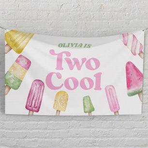 Two Cool Pink Retro Popsicle 2nd Birthday Party Banner