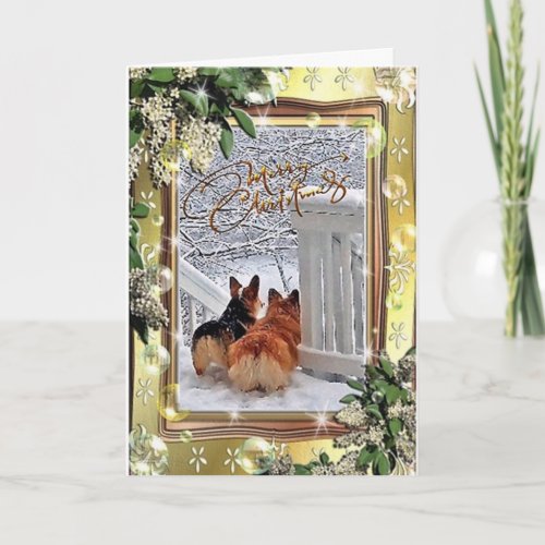 Two Corgis in the Snow with Frame Holiday Card