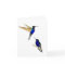 Two Coronet Hummingbirds Greeting Card