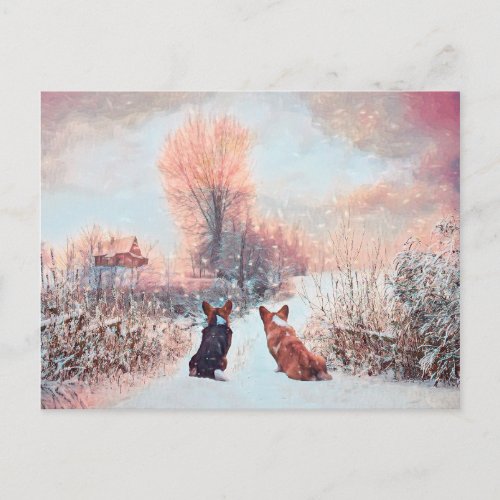 Two Country Welsh Corgis in the Snow Postcard