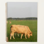 Two cows closeup. planner<br><div class="desc">Taken out of my back garden two cows grazing contendly together.</div>