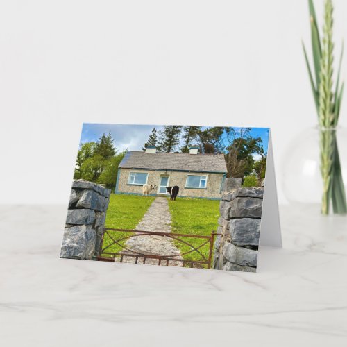 Two Cows  Greeting Card