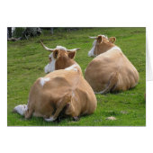 Two Cows Resting (Front Horizontal)