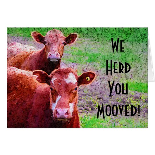 Two Cows We Herd You Mooved! Cards (Front Horizontal)