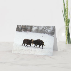 Two Cows While Snowing Letterpress Thank You Card
