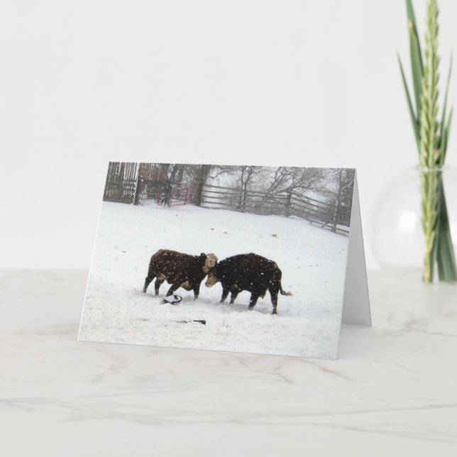 Two Cows While Snowing Letterpress Thank You Card (Front)