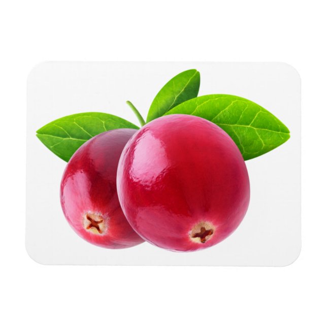Two cranberries magnet (Horizontal)