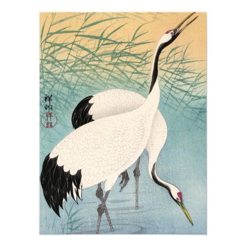 Two Cranes by Ohara Koson Photo Print