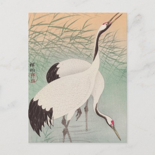 Two Cranes Painting by Ohara Koson Postcard