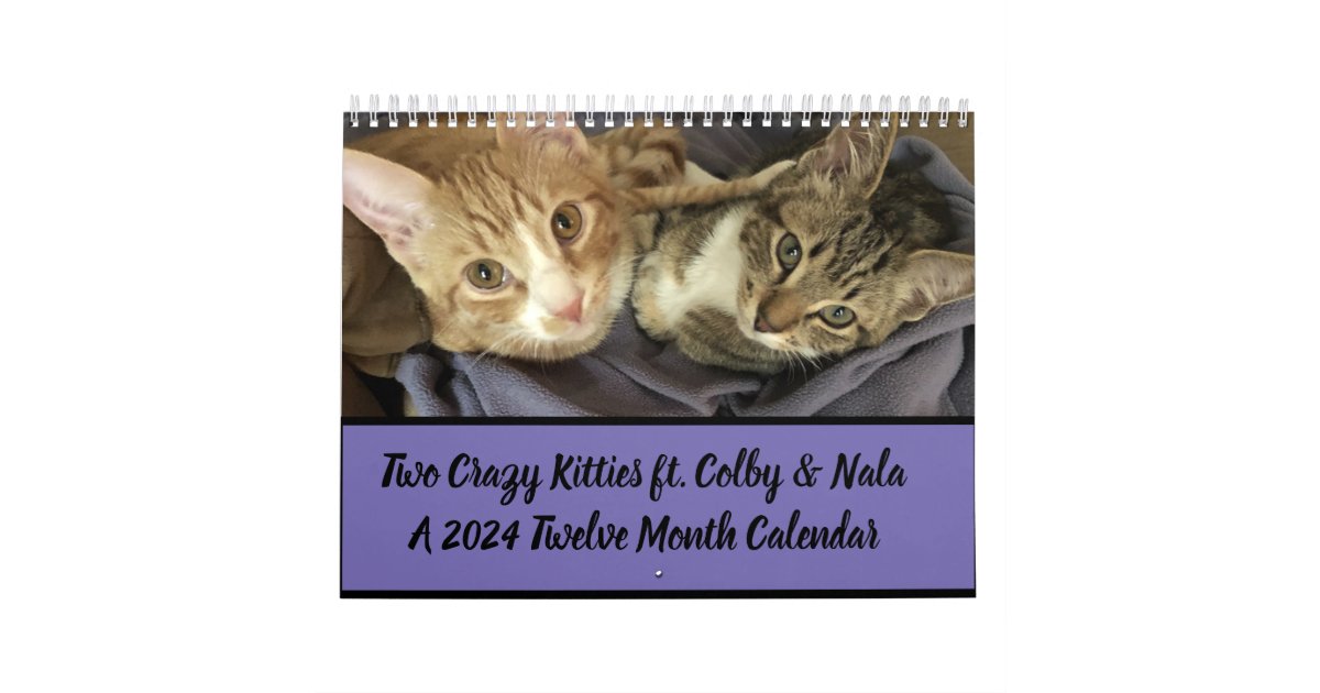 Two Crazy Kitties 2024 Calendar Zazzle