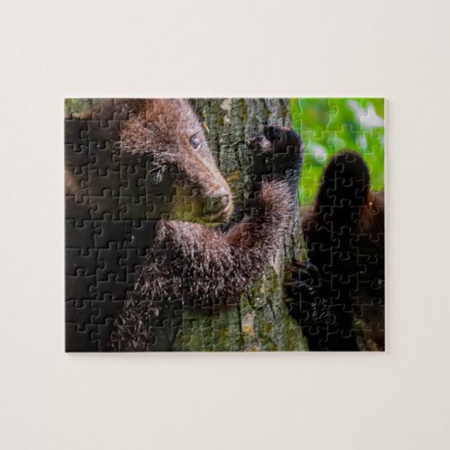 two cubs in a tree jigsaw puzzle