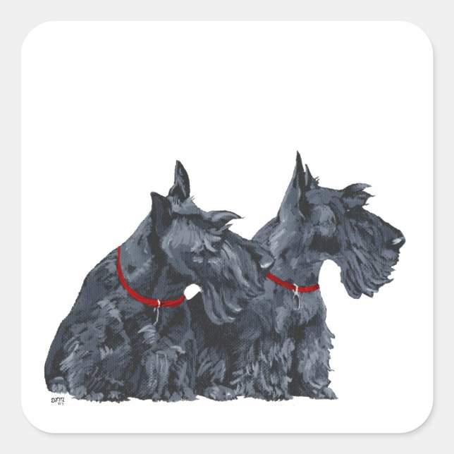 Two Curious Scottish Terriers Square Sticker (Front)