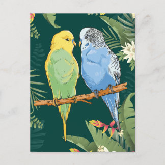 Two cute blue and green Budgie Postcard