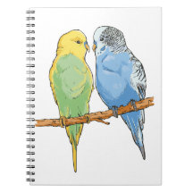 Two cute blue and green Budgies