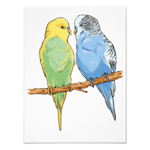 Two cute blue and green Budgies Photo Print