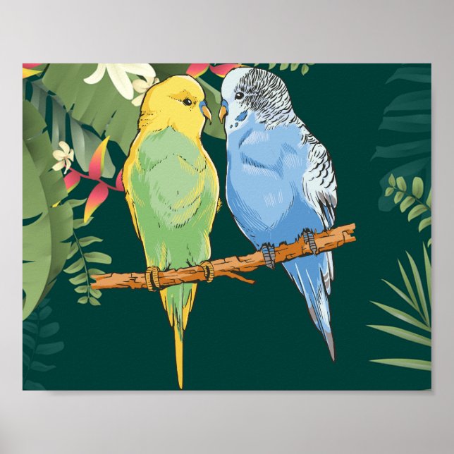 Two cute blue and green Budgies Poster (Front)