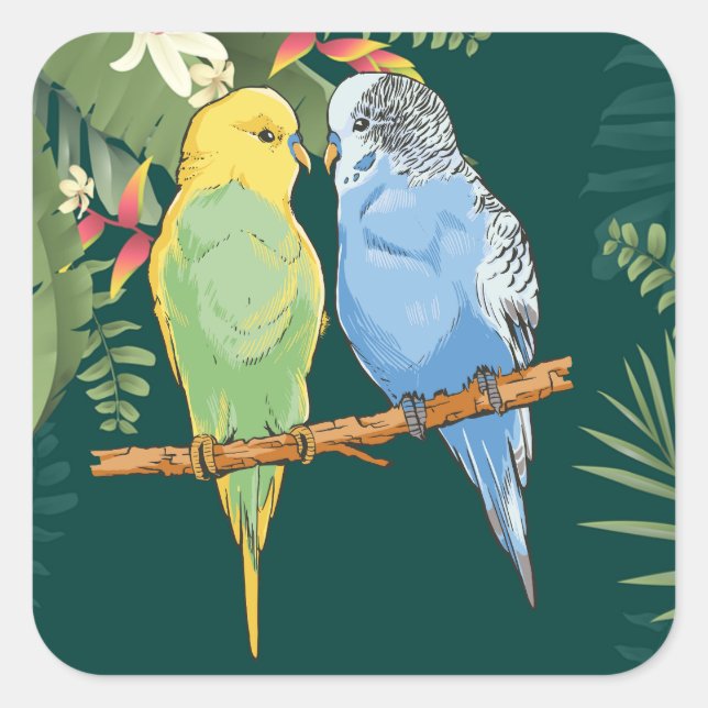 Two cute blue and green Budgies Square Sticker (Front)