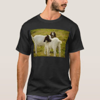Two Cute Boer Goats in Field Farm Animals Photo