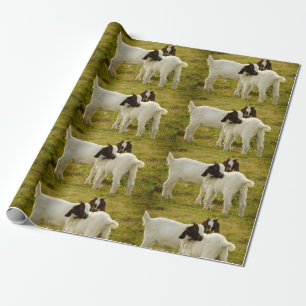 Two Cute Boer Goats in Field Rustic Farm Animal Wrapping Paper