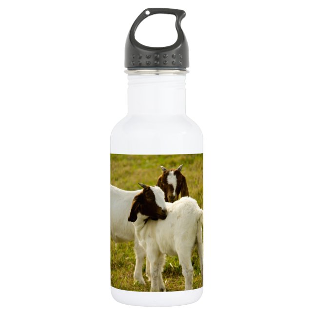 Two Cute Boer Goats Water Bottle (Front)