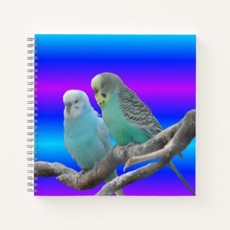 Two Cute Budgerigar Birds Notebook