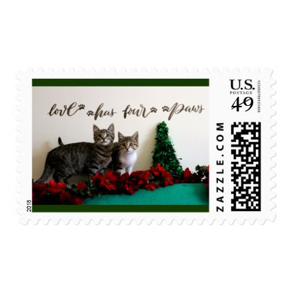 Two Cute Christmas Kittens Postage
