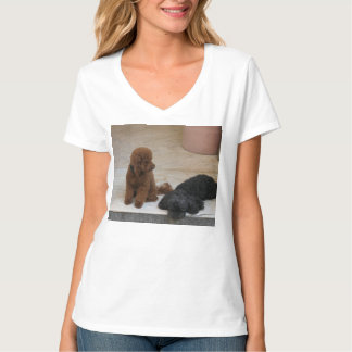 Two Cute Cockerpoos T Shirt
