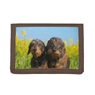Two Cute Dachshund Dogs Dackel Head Portrait Photo Trifold Wallet