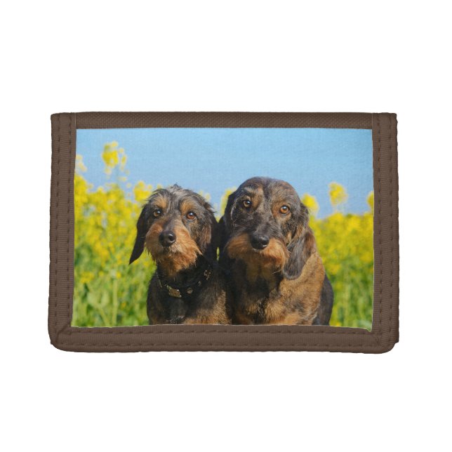 Two Cute Dachshund Dogs Dackel Head Portrait Photo Trifold Wallet (Front)