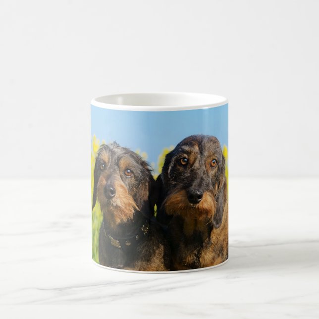 Two Cute Dachshund Dogs Dackel Portrait Photo _ Coffee Mug (Center)