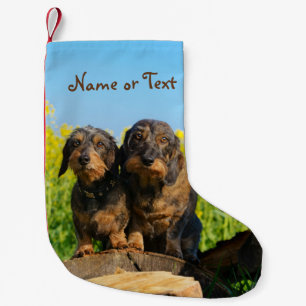 Two Cute Dachshunds Dogs Dackel Friends Pet - Name Small Christmas Stocking