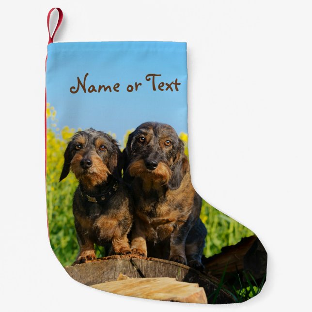 Two Cute Dachshunds Dogs Dackel Friends Pet - Name Small Christmas Stocking (Front)