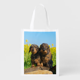 Two Cute Dachshunds Dogs Dackel Friends Pet Photo Grocery Bag