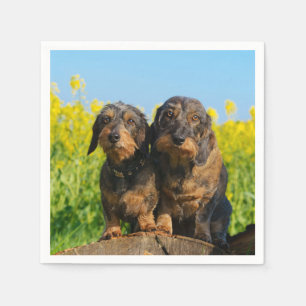 Two Cute Dachshunds Dogs Dackel Friends Pet Photo Paper Napkins
