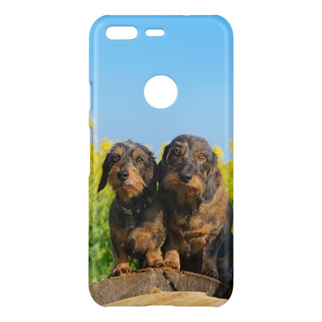 Two Cute Dachshunds Dogs Dackel Friends Pet Photo Uncommon Google Pixel Case (Back)