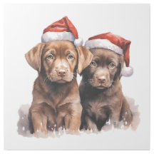 two cute dogs in christams illustration style