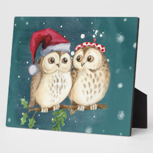 Two cute drawn Owls Plaque