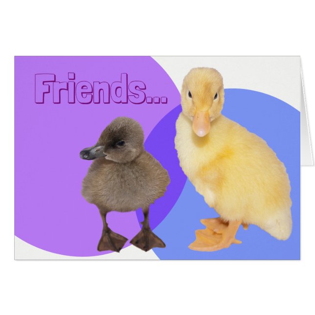 Two Cute Ducklings Photo Friends Custom Text Cards (Front Horizontal)